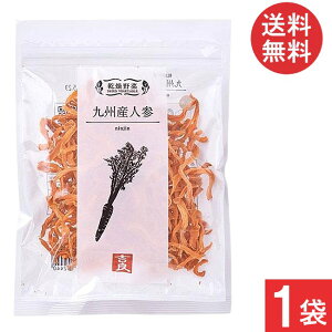 吉良食品 乾燥野菜 九州産 人参 40g×1袋 送料無料