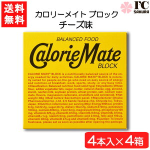 ː J[Cg ubN `[Y4{×4 h{ 󕠉 y `[Y