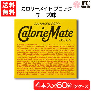 ��ː��� �J�����[���C�g �u���b�N �`�[�Y 4�{×60��(2�P�[�X) �h�{ �󕠉��� ��y �`�[�Y��