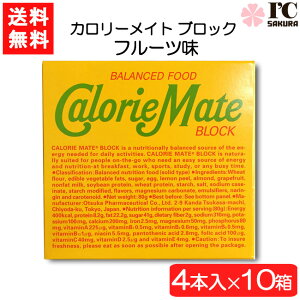 ��ː��� �J�����[���C�g �u���b�N �t���[�c 4�{×10�� �h�{ �󕠉��� ��y �t���[�c��