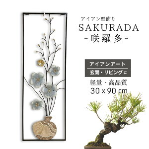 |Cg5{ CeA ACAA[g SAKURADA S264 ACA ǂ rO _A[g Mtg Ǐ 病 炾 ǃpl IuWF  Vv ACAA[g ACA