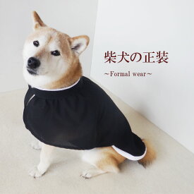 楽天市場 柴犬 着物 ドッグウェア 犬用品 ペット ペットグッズの通販
