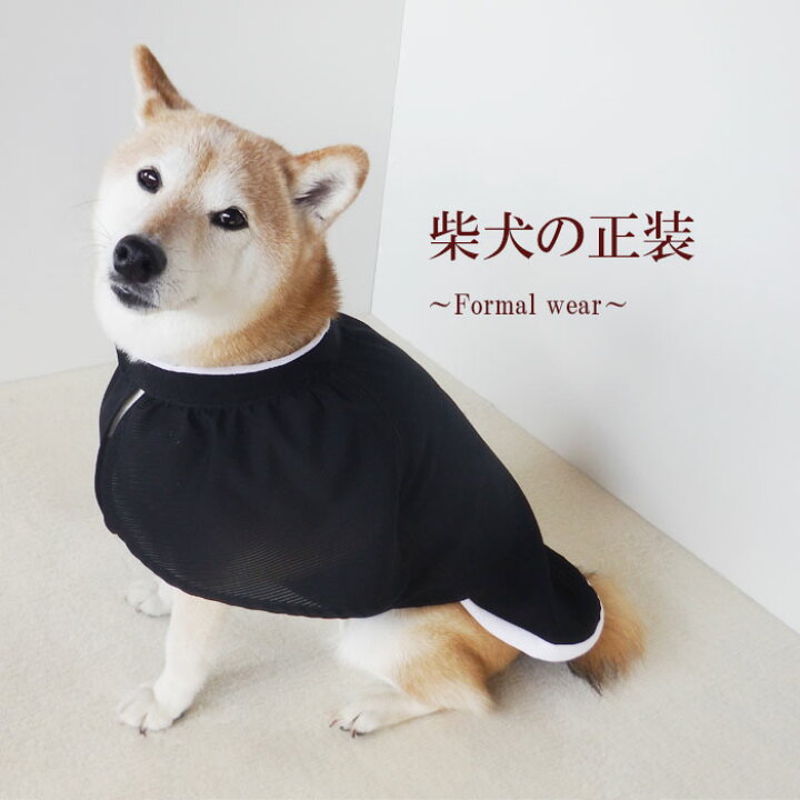 楽天市場 犬服 おしゃれ 柴犬 和 犬 服 かわいい ドッグウェア かっこいい 小型犬 中型犬 服 国産 着物 柄 駒絽黒 家紋なし 犬 和服 フォーマル ドッグウェア 楽 着脱簡単 さくら箪笥 楽天市場店