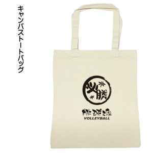 バレーボール スポーツバッグの人気商品 通販 価格比較 価格 Com