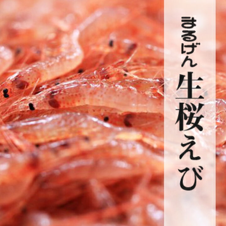 楽天市場】生桜えび200g 由比港水揚げ 駿河湾桜えび 静岡県産を安心して新鮮 珍味 桜海老 桜えび 桜エビ サクラエビ さくらえび 海鮮 食品 お土産 ご当地 名物 生もの 生 生食 静岡 ギフト プレゼント 贈答品 お歳暮 冷凍 駿河湾 国産 無着色 安全 : 桜えび_しらす_だし ... 楽天市場】生桜えび200g 由比港水揚げ 駿河湾桜えび 静岡県産を安心して新鮮 珍味 桜海老 桜えび 桜エビ サクラエビ さくらえび 海鮮 食品 お土産 ご当地 名物 生もの 生 生食 静岡 ギフト プレゼント 贈答品 お歳暮 冷凍 駿河湾 国産 無着色 安全 : 桜えび_しらす_だし ...