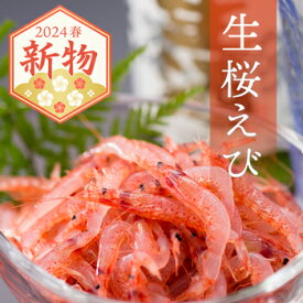 生桜エビ｜2024年春漁新物｜静岡・由比港水揚げ　お刺身　海鮮丼に！