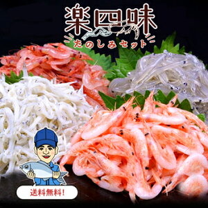 GrA炷uylZbgvÉY 蕨ɍœK  CV 炦 VX CN Hi yY n  É x͘p VN Nx  v`Mtg Mtg v[g i 