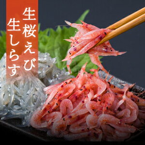 сi2025NHVj炷Zbg  s꒼Mtg R`g x͘p ÉYS CN VN Nx yY n  É ` ̓ Mtg v