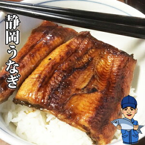 ȂāuVxvi^pbNj^Rt yŗΏۏi ÉY