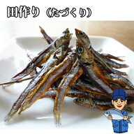 田作り（たづくり）100g 山口県産（メール便） 他商品とご注文されると別途送料必要です