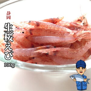 100gbR`g x͘p ÉYSĐVN  CV  Gr TNGr 炦 CN Hi yY n    H É Mtg v[g 