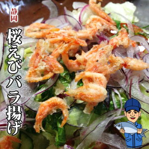 ї₵og50g R`g x͘p ÉYS