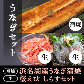 浜名湖産うなぎ、生桜えび、生しらすセット 送料無料 静岡県産にこだわる 静岡自慢の逸品がずらり 北海道沖縄配送料加算