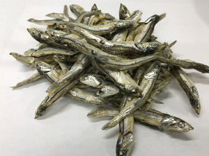 p肱ϊij100g 傫 yŗΏۏi