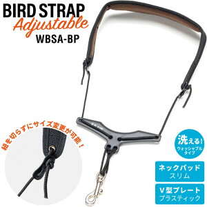 B.AIR EHbVuEo[hXgbv TbNXpXgbv AWX^u^Cv WBSA-BP y pbhFX / v[gFvXeBbN zy r[GA[ TbNXXgbv WBSABP zy5