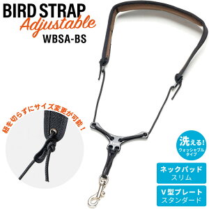 B.AIR EHbVuEo[hXgbv TbNXpXgbv AWX^u^Cv WBSA-BS y pbhFX / v[gFX^_[h zy r[GA[ TbNXXgbv WBSABS zy50