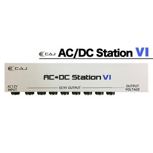 CUSTOM AUDIO JAPAN GtFN^[pp[TvC AC/DC Station VI ACA_v^[EDCP[ut y CAJ JX^I[fBIWp zy50̂͓X|Cg5{Iz