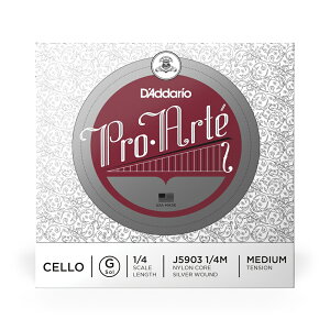 D'Addario `F J5903 1/4M PROARTE G o 1/4XP[ ~fBAeV [ daddario __I ] y50̂̓Gg[Ń|Cg4{zy䂤pPbgΉz