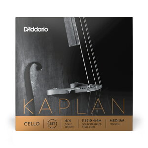 D'Addario �`�F���� KS510 4/4M KAPLAN �Z�b�g�� 4/4�X�P�[�� �~�f�B�A���e���V���� [ daddario �_�_���I ] �y5��0�̂����̓G���g���[���Ń|�C���g4�{�z��