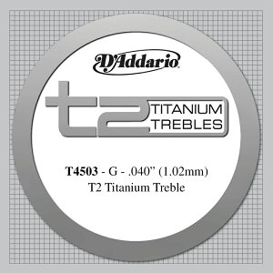 D'Addario NVbNM^[ o 5{Zbg T4503 T2 Titanium/040 Nomal y daddario __I NVbN t4503 zy50̂̓Gg[Ń|Cg4{zy䂤pPbgΉz