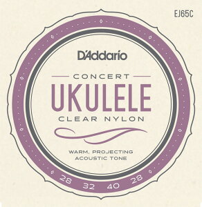 D'Addario �_�_���I �E�N������ EJ65C Pro-Arte Custom Extruded Ukulele, Concert [ daddario �R���T�[�g EJ-65C J92 ] �y5��0�̂����̓G���g���[���Ń|�C���g4�{�z�y�䂤�p�P�b�g�Ή��z��