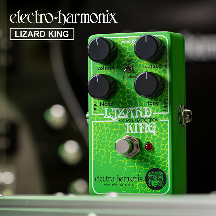 楽天市場】【ピック10枚セット付き！ 】LIZARD KING (リザードキング 