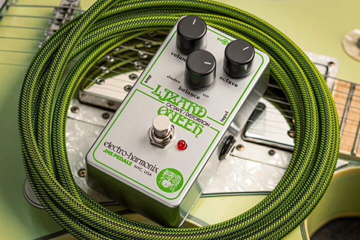 楽天市場】【ピック10枚セット付き！】LIZARD QUEEN (リザードクイーン 