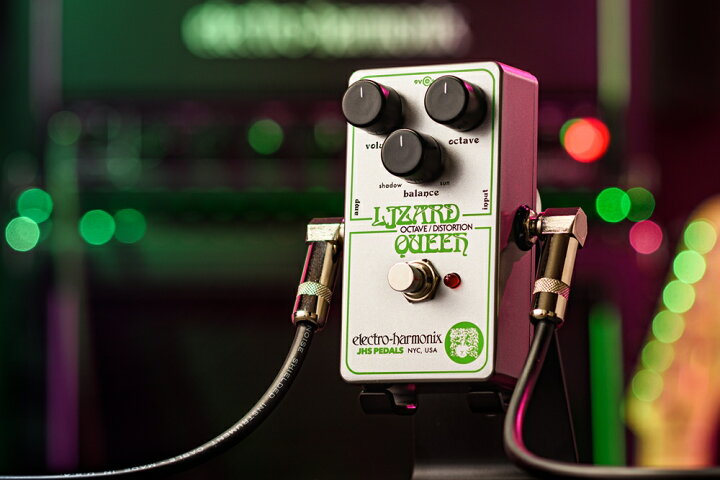 楽天市場】【ピック10枚セット付き！】LIZARD QUEEN (リザードクイーン 