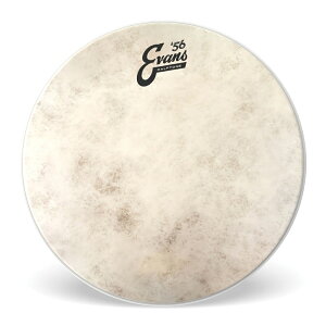 EVANS �G���@���X �h�����w�b�h `56 Calftone Tom TT10C7 10�C���` �y5��0�̂����̓G���g���[���Ń|�C���g4�{�z��