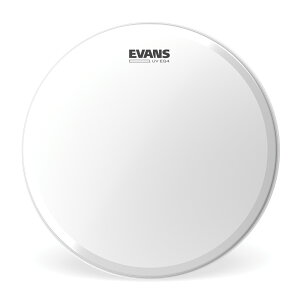 EVANS G@X hwbh UV EQ4 Bass BD16GB4UV 16C` Bass Hoop y50̂̓Gg[Ń|Cg4{z