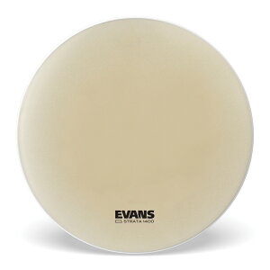EVANS G@X Strata Staccato 1400 RT[goXwbh 36" CB3614S y50̂̓Gg[Ń|Cg4{z