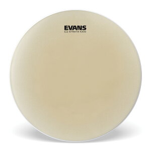 EVANS �G���@���X Strata 1000 �R���T�[�g�^���w�b�h 6 CT06S �y5��0�̂����̓G���g���[���Ń|�C���g4�{�z��