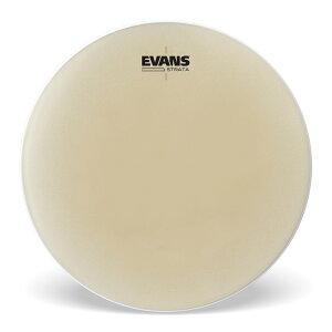 EVANS �G���@���X Strata �e�B���p�j�w�b�h 20 EST20 �y5��0�̂����̓G���g���[���Ń|�C���g4�{�z��