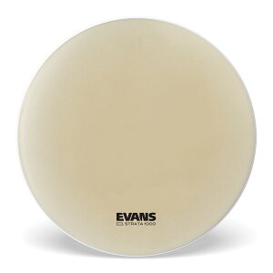 EVANS G@X Strata Staccato 1000 RT[goXwbh 30" CB3010S y50̂̓Gg[Ń|Cg4{z
