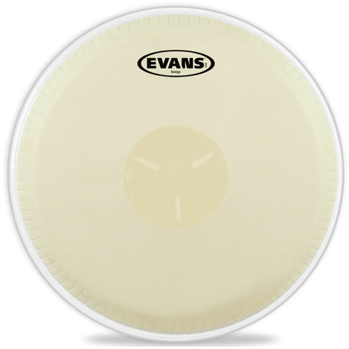 楽天市場】【5と0のつく日はエントリーでポイント4倍】EVANS ボンゴ 
