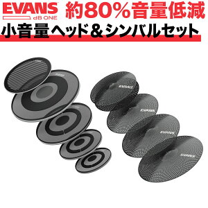 EVANS ���ʒጸ�V���o�����w�b�h�Z�b�g dB One / ECPPB-DB1-R �y �G���@���X �G�o���X �h���� �V���o�� �É� ���K �v���N�e�B�X �g���[�j���O �z�y5��0�̂����̓G���g���[���Ń|�C���g4�{�z��