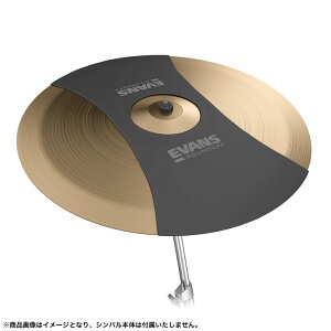 EVANS �G���@���X SoundOff �h�����~���[�g ���C�h�V���o���p 20 SO20RIDE �y5��0�̂����̓G���g���[���Ń|�C���g4�{�z��