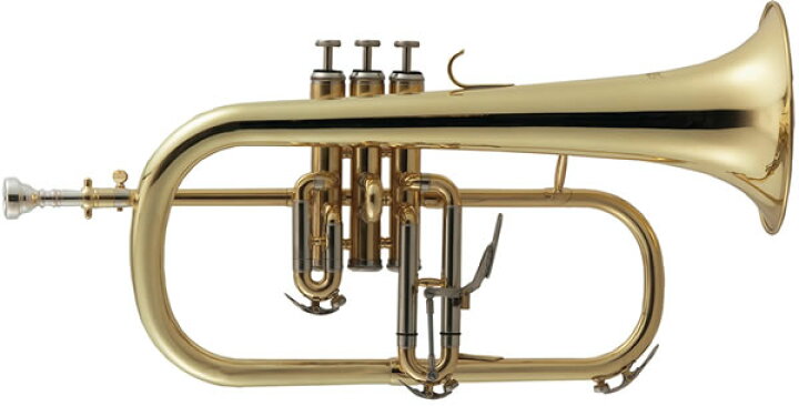 楽天市場】Kaerntner フリューゲルホルン KFG/GD【ケルントナー 管楽器 