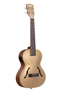 KALA J EN Archtop Series }zKj[{fB ei[ GLdl Kalamazoo Gold KA-JTE-KZGD_W/CASE (P[Xt) y KAJTEKZGD A[`gbv zy50̂͓X|Cg5{Iz