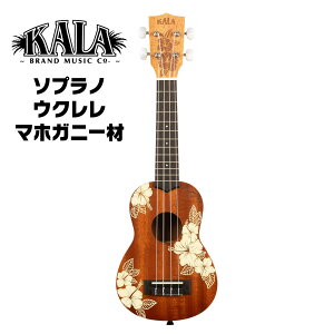 KALA \vm EN KA-HIBISCUS-S MOobOt y J }zKj[ EN 2024new KA-HIBISCUS-S_W/BAGzy50̂͓X|Cg5{Iz