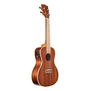 KALA J EN Satin Mahogany Series }zKj[{fB RT[g GLdl KACE-WBAG20_06 (P[Xt) y KA-CE pf zy50̂͓X|Cg5{Iz