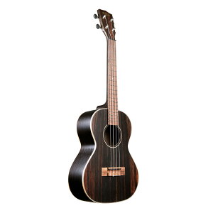 KALA J EN Striped Ebony Series G{j[{fB ei[ KAEBY-T-WBAG20_06 (P[Xt) y KA-EBY-T pf zy50̂͓X|Cg5{Iz