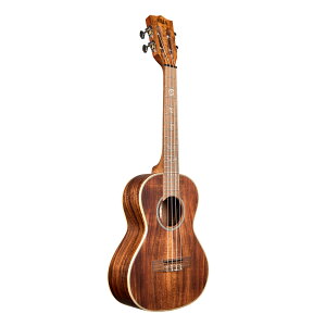KALA J EN Solid Acacia Series I[\bhAJVA{fB ei[ KASA-T-WCASE20_06 (P[Xt) y KA-SA-T pf zy50̂͓X|Cg5{Iz