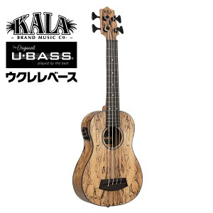 KALA EN x[X SPALTED MANGO U-BASS UBASS-SP-MNG-FS MOobOt y J GL X|ebh }S[ EN [x[X zy50̂͓X|Cg5{Iz