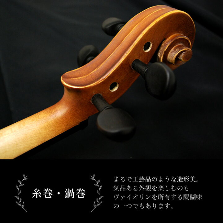 楽天市場】バイオリン Hallstatt V-12 初心者入門セット 