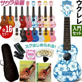 ウクレレ 入門セット AlaMoana ソプラノウクレレ 初心者セット UK-100G【今だけ教則DVD付き！】【アラモアナ UK100 UK100G】