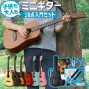 【5と0のつく日はP5倍 + エントリーでさらにP4倍】ミニギター コンパクト アコースティックギター S.Yairi YM-02 16点…