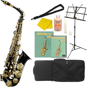 y L zAgTbNX S Zbg Soleil SAL y \C Zbg SAL-1 SAL-2 Ǌy ty TbNX SAX SAXOPHONE TN\tH v[gɂ zy50̂͓X|C