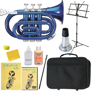 |Pbg gybg SғZbg Soleil STR-1P y \C STR1P Ǌy |Pg X[ v[gɍœK zy50̂͓X|Cg5{Iz