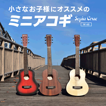 アコースティックギター⭐︎ソフトケース付き　キッズサイズ 71IktnLCYZL._AC_UF350,